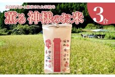 ＜薫る神様のお米 奉納米 縁起米 約3合×1袋＞希少米 香り米 奇跡の復活 ふさなり 栽培期間中、化学農薬化学肥料不使用 