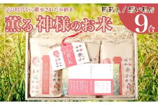 ＜薫る神様のお米 奉納米 縁起米 想い札付き 3合×3袋（桐箱入）＞ 贈答用 受験生や大切な人への贈り物に◎ 希少米 香り米 奇跡の復活 ふさなり 栽培期間中、化学農薬化学肥料不使用