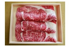 土佐和牛（約500g）
