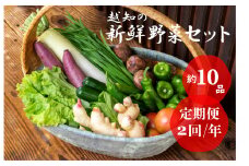 越知産市の季節の野菜セット(年2回発送)　産地直送　旬野菜
