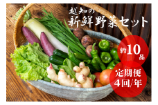 越知産市の季節の野菜セット(年4回発送)　産地直送　旬野菜