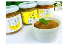 かんきつジャム24個セット