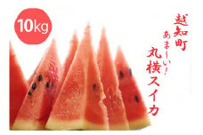  越知町のあま～いスイカ【約10kg　1玉】