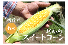 【期間限定】≪数量限定≫ 山中さんの朝採れ　スイートコーン