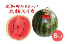 越知町のあま～いスイカ【約8kg　1玉】