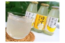 柑橘ドリンク（3種類×各4本）