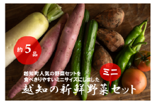 越知産市の季節の野菜ミニセット　産地直送　旬野菜