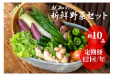 越知産市の季節の野菜セット(年12回発送)