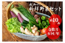 越知産市の季節の野菜セット(年6回発送) 奇数月　産地直送　旬野菜