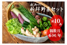 越知産市の季節の野菜セット(年6回発送) 偶数月