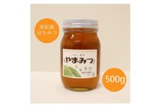 越知町産　はちみつ　国産　500ｇ（西洋みつばち）