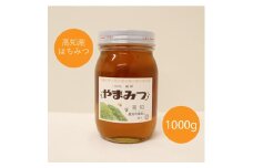 越知町産　はちみつ　国産　1000g（西洋みつばち）