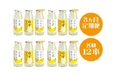 柑橘ドリンク12本（5ヶ月定期便）