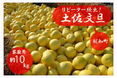 【先行予約受付中 2025年発送】森下さん家の(家庭用)土佐文旦(約10kg/16～23玉) 　フルーツ 果物 新鮮 柑橘
