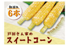 【期間限定】≪数量限定≫ 戸田さんの朝採れ　スイートコーン