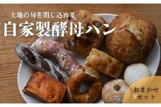 自家製酵母パン　おまかせセット