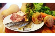 お山のレストラン「だっぱん屋」スペシャルランチお食事券ペア 食事券 チケット お店 旅行 観光 ドラベル ランチ ディナー 有機野菜 キジ肉 ジビエ【CA03】