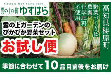 農薬化学肥料不使用 雲の上ガーデンのぴかぴか野菜セット【お試し便】季節にあわせて10品目前後をお届け【L001】季節 旬 詰め合わせ 採れたて 新鮮 産地直送 高知県産 冷蔵便