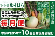 農薬化学肥料不使用 雲の上ガーデンのぴかぴか野菜セット（10回お届け）季節にあわせて10品目前後を毎月お届け【L003】季節 旬 詰め合わせ 採れたて 新鮮 産地直送 高知県産 冷蔵便 定期便