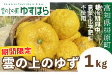 【期間限定】雲の上の黄金ゆず（１ｋｇ）ユズ 柚子 農薬化学肥料不使用 果物 柑橘 産地直送 ゆずジャム ゆず茶 高知県産 常温便