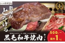 低温でも脂身がとろける梼原町産黒毛和牛 丸かじり焼肉セット（500g）【GA01】牛肉 焼肉 焼き肉 やきにく 国産 高知県産 冷凍便