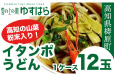 イタンポうどん（12玉セット）