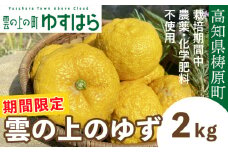 【期間限定】雲の上の黄金ゆず（2ｋｇ）ユズ 柚子 農薬化学肥料不使用 果物 柑橘 産地直送 ゆずジャム ゆず茶 高知県産 常温便