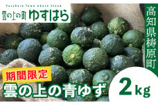 【期間限定】雲の上の青ゆず（２ｋｇ）ユズ 柚子 農薬化学肥料不使用 果物 柑橘 産地直送 ゆずジャム ゆず茶 高知県産 常温便