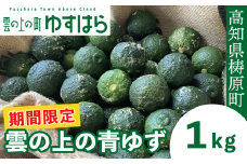 【期間限定】雲の上の青ゆず（１ｋｇ）ユズ 柚子 農薬化学肥料不使用 果物 柑橘 産地直送 ゆずジャム ゆず茶 高知県産 常温便