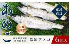 四万十川源流域の清流で育ったゆすはらアメゴ（６匹入り）　アメゴ アマゴ 四万十川 清流 手作業 急速冷凍 川魚 養殖 新鮮 塩焼き　ICT デジタル化