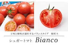 【先行予約・2026年1月】シュガートマト ビアンコ08（糖度8度以上） 1kg 高糖度 フルーツトマト JA