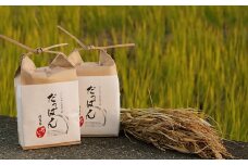 新米入荷！早生米 だっぱん米 高知県産 にこまる 精米4kg（2kg×2袋） 坂本龍馬 脱藩の道沿いで育ったお米 水稲早生(わせ)