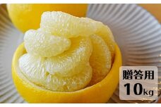 【先行予約・2026年1月】土佐文旦 贈答用 10kg　数量限定 高知県産 文旦 路地 農家直送 早出し