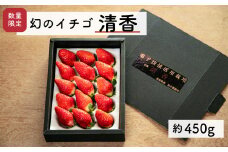 【先行予約・2026年3月】数量限定 いちご 清香 1箱（約450g） 希少品種 限定品 苺 産地直送 農家直送 甘い 大きい 果物