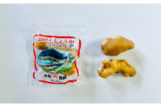 小分け お試し 袋入り こだわりの低農薬「囲い生姜」 100g×5袋 農家直送 高知県産 ショウガ 生姜