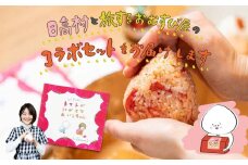 トマトが嫌いな子どものための 日高村産フルーツトマトのおむすびセット 炊き込みご飯の素 手作り セット 絵本付
