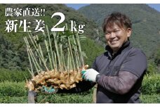 【先行予約・2025年11月】新生姜 2kg　高知 生姜 しょうが 農家直送 期間限定 新ショウガ 旬 秋の新しょうが