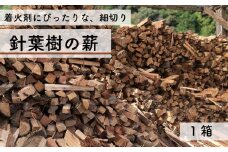 乾燥薪 針葉樹 細割り（杉など） キャンプ アウトドア 焚火 高知県産 杉 薪 小割