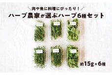 【期間限定】料理にぴったり！ハーブ農家が選ぶハーブ6種セット 化学肥料農薬不使用 バジル ローズマリー タイム オレガノ