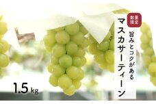 【先行予約・2025年9月】数量限定 マスカサーティーン 1.5kg 産地直送 農家直送 甘い 大きい 種なし ぶどう 果物