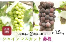 【先行予約・2025年8月末】数量限定 食べ比べ！ シャインマスカットと藤稔 合計約1.5kg 産地直送 農家直送 甘い 大きい 種なし ぶどう 果物