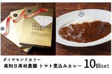 ダイヤモンドカリー トマト煮込みレトルトカレー（1人前×10個セット）｜高知県産トマト使用 国産牛 日高村産 ミニトマト 欧風カレー