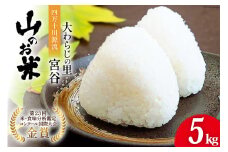 大わらじの里 宮谷 山のお米 5kg [宮谷営農組合瑞穂ファーム 高知県 津野町 26aq0014] 白米 おこめ お米 こめ コメ 精米