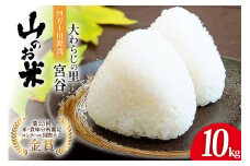 大わらじの里 宮谷 山のお米 10kg [宮谷営農組合瑞穂ファーム 高知県 津野町 26aq0015] 白米 おこめ お米 こめ コメ 精米
