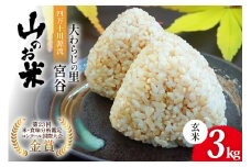 大わらじの里 宮谷 山のお米 玄米 3kg [宮谷営農組合瑞穂ファーム 高知県 津野町 26aq0017] お米 こめ コメ ごはん