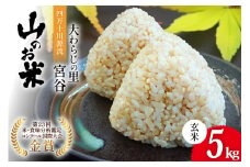 大わらじの里 宮谷 山のお米 玄米 5kg [宮谷営農組合瑞穂ファーム 高知県 津野町 26aq0018] お米 こめ コメ ごはん