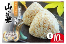 大わらじの里 宮谷 山のお米 玄米 10kg [宮谷営農組合瑞穂ファーム 高知県 津野町 26aq0019] お米 こめ コメ ごはん