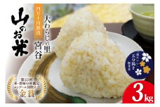 大わらじの里 宮谷 山のお米 五分搗き胚芽米 3kg [宮谷営農組合瑞穂ファーム 高知県 津野町 26aq0020] 五分搗き 五分づき 胚芽米 食物繊維