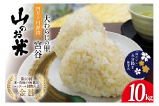 大わらじの里 宮谷 山のお米 五分搗き胚芽米 10kg [宮谷営農組合瑞穂ファーム 高知県 津野町 26aq0022] 五分搗き 五分づき 胚芽米 食物繊維