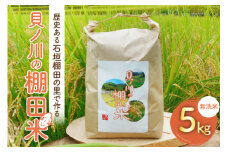 無洗米 石垣棚田で作る『貝の川の棚田米』 5kg [貝ノ川棚田保存会 高知県 津野町 26as0002] 白米 お米 おこめ こめ コメ